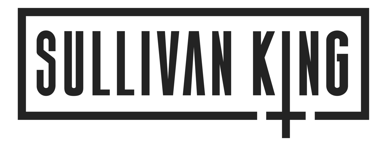 Sullivan King Banshee6 FRS